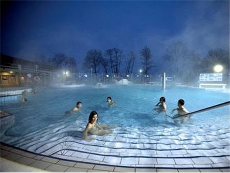 HOTEL ZELENI GAJ 3*