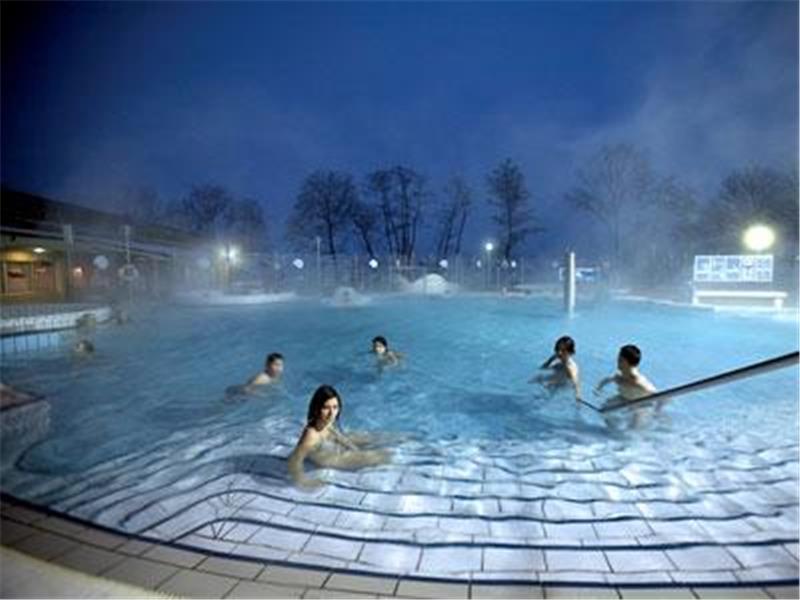 HOTEL ZELENI GAJ 3*
