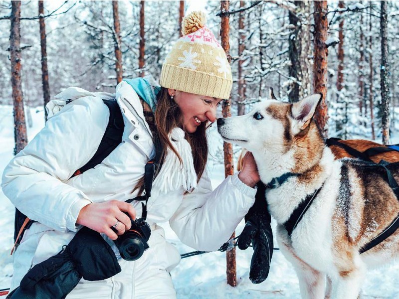 LAPONSKA - BOŽIČEK IN ARKTIČNA DOŽIVETJA