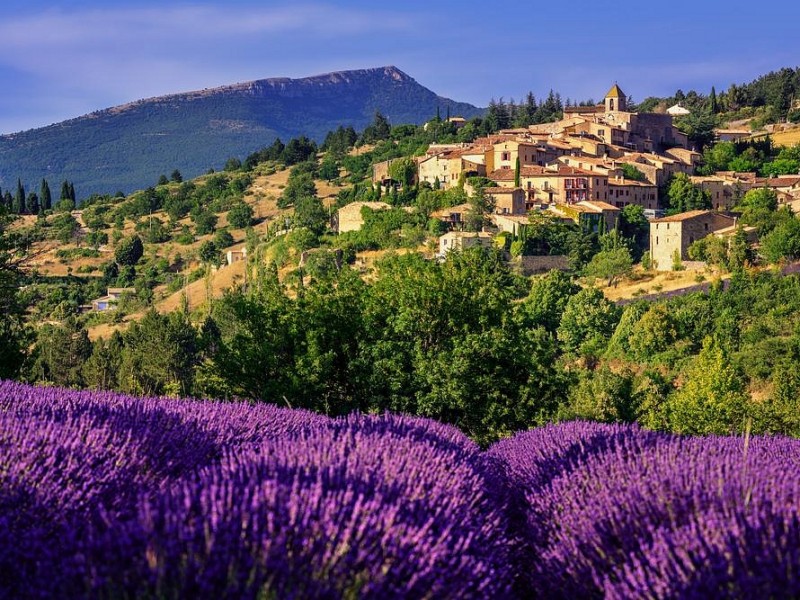 PROVANSA IN DIVJA LEPOTA CAMARGUE