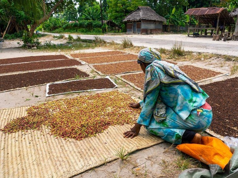 DIVJINA TANZANIJE IN RAJSKI ZANZIBAR