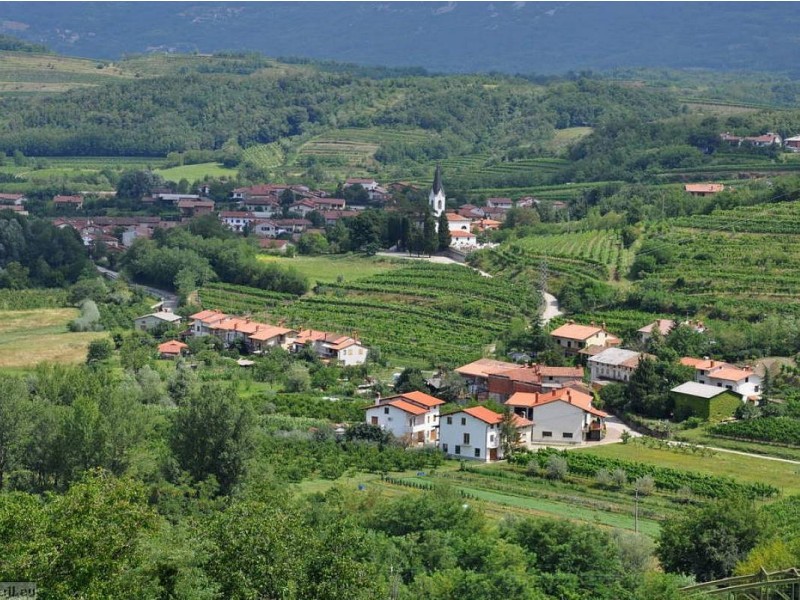 VINSKI VLAK PO VIPAVSKI DOLINI
