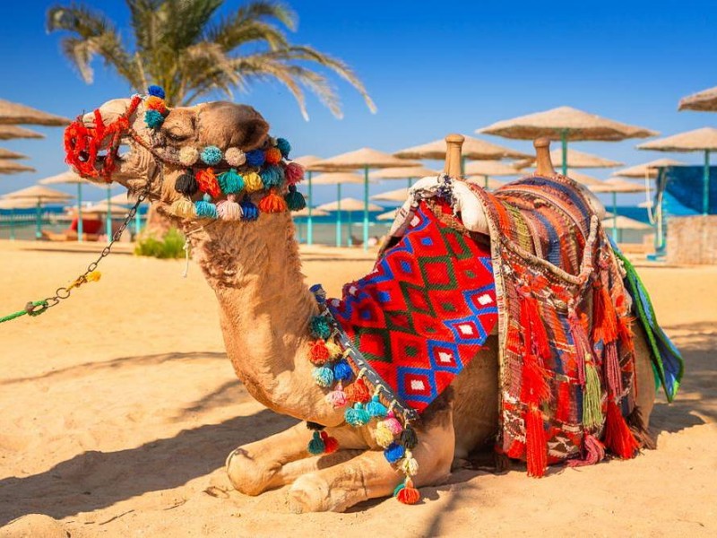 HURGADA, križarjenje po Nilu in Kairo