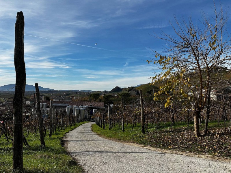 PROSECCO