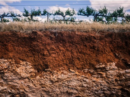 Veliko vinsko kulinarično potovanje AVSTRALIJA