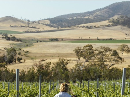 Veliko vinsko kulinarično potovanje AVSTRALIJA