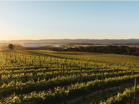 Veliko vinsko kulinarično potovanje AVSTRALIJA