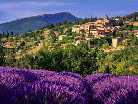 PROVANSA IN DIVJA LEPOTA CAMARGUE