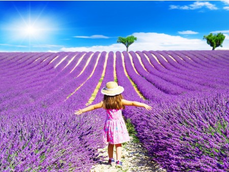 PROVANSA IN DIVJA LEPOTA CAMARGUE