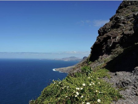 GRAN CANARIA - OTOK SONCA, SIPIN IN NESKONČNIH DOŽIVETIJ