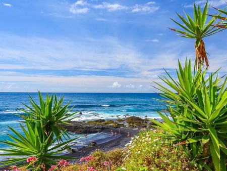 TENERIFE - RAJ ZA LJUBITELJE NARAVE IN AKTIVNE POČITNICE