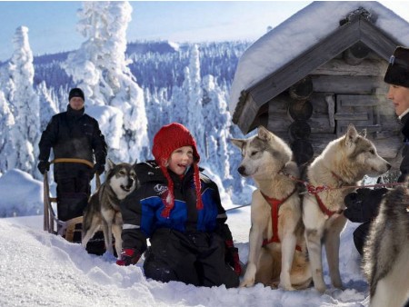 LAPONSKA - BOŽIČEK IN ARKTIČNA DOŽIVETJA