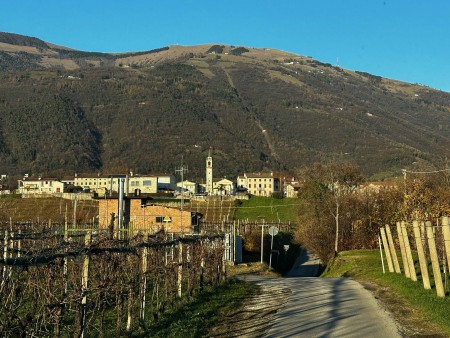PROSECCO