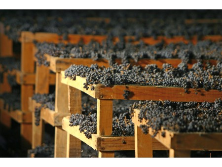 VALPOLICELLA, Lugana in Strada del Riso 