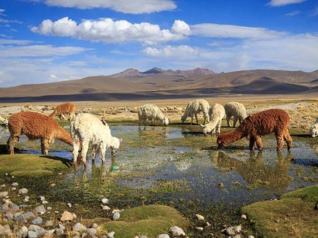 PERU - SKRIVNOSTNI SVET INKOV