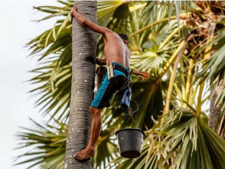 NOVOLETNI BALI IN GILIJI