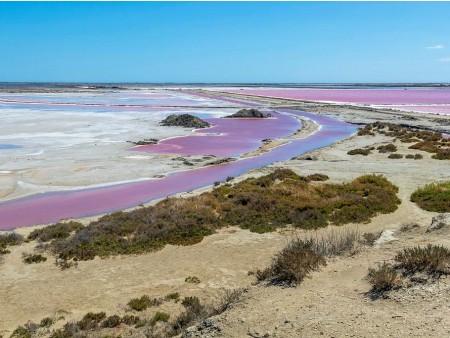 PROVANSA IN DIVJA LEPOTA CAMARGUE