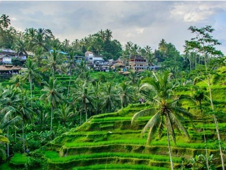 NOVOLETNI BALI IN GILIJI