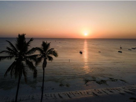 DIVJINA TANZANIJE IN RAJSKI ZANZIBAR