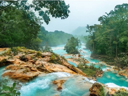 VIVA MEXICO - V KRALJESTVU AZTEKOV IN MAJEV