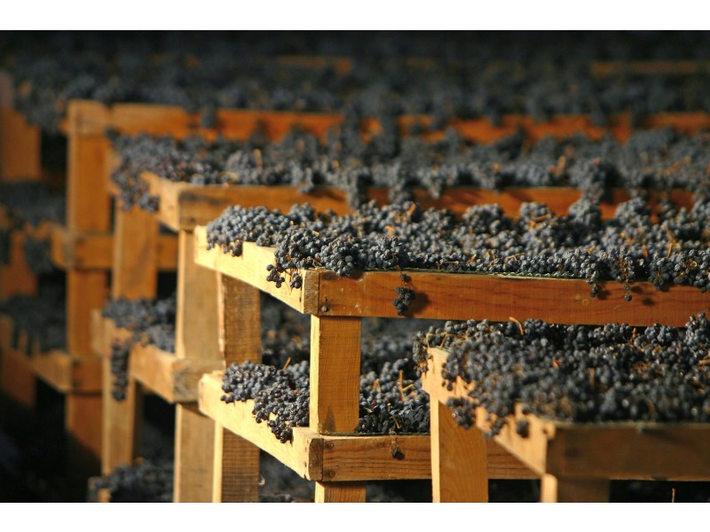 VALPOLICELLA, Lugana in Strada del Riso