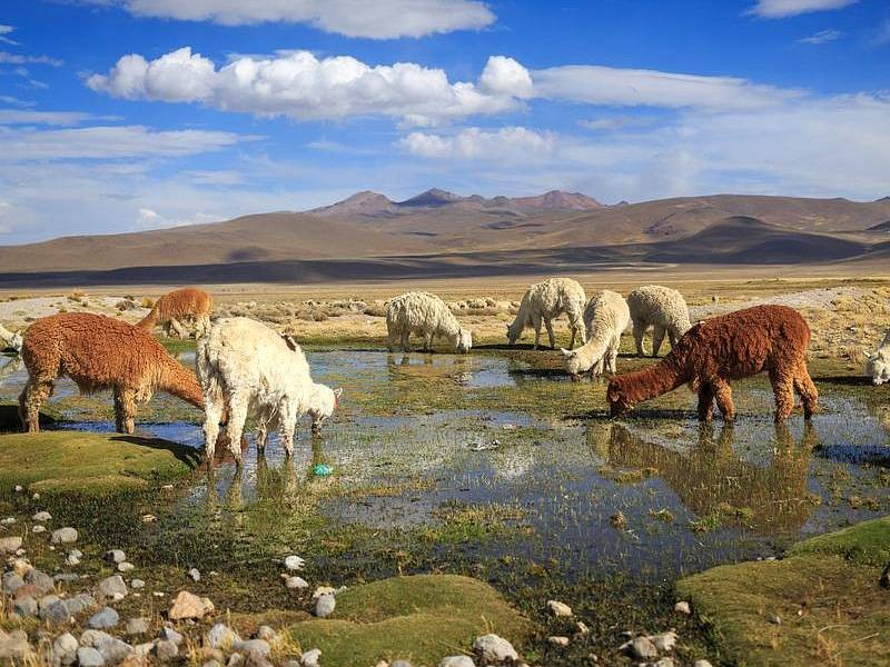 PERU - SKRIVNOSTNI SVET INKOV