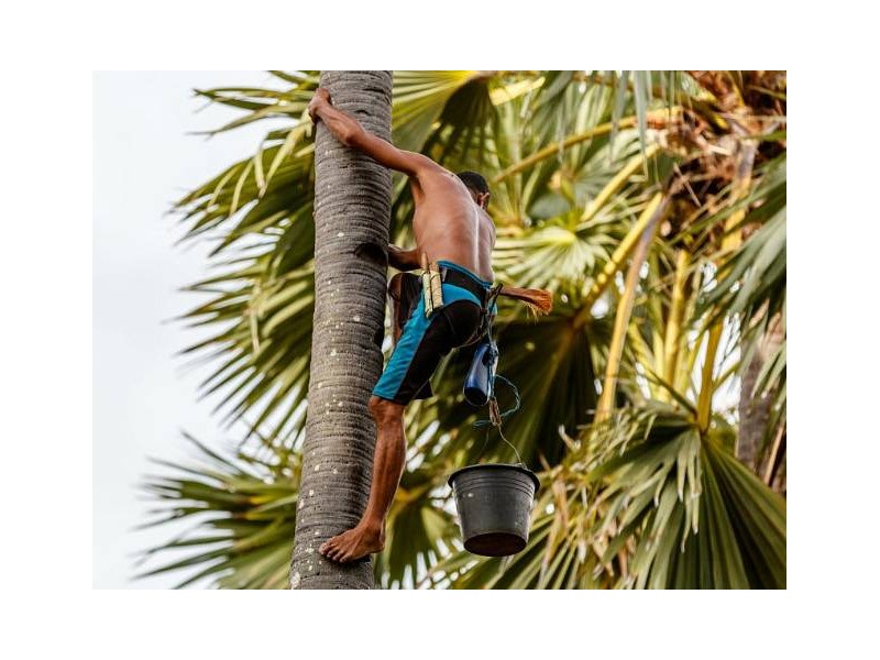 NOVOLETNI BALI IN GILIJI