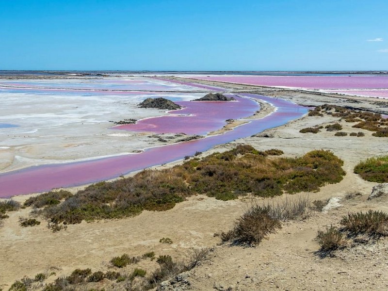 PROVANSA IN DIVJA LEPOTA CAMARGUE