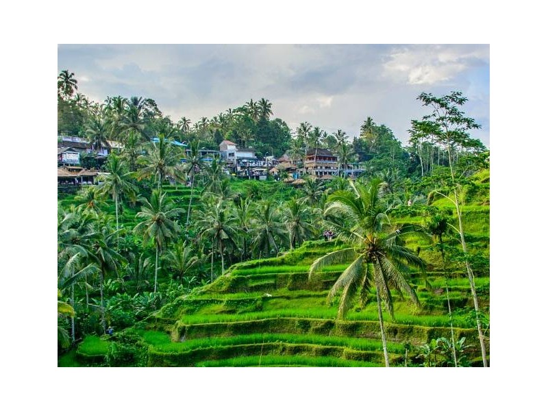 NOVOLETNI BALI IN GILIJI