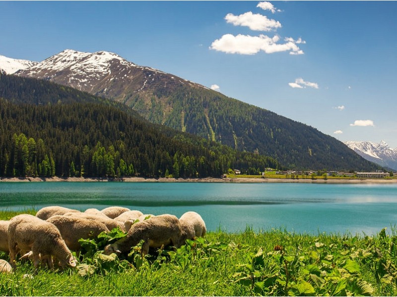 VOŽNJA Z GLACIER EXPRESS VLAKOM IN ŠVICARSKE ALPE