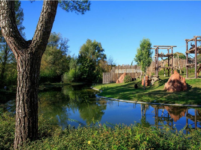 VERONA IN ZOO SAFARI