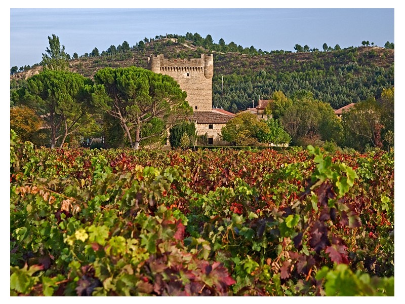 RIOJA in BILBAO