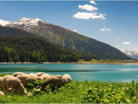 VOŽNJA Z GLACIER EXPRESS VLAKOM IN ŠVICARSKE ALPE
