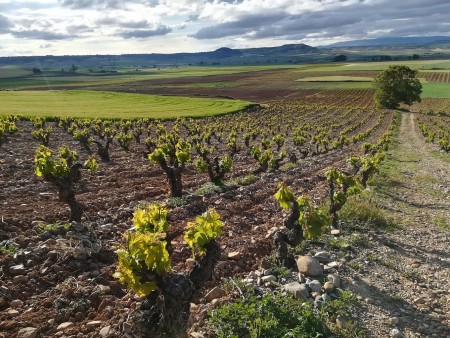 RIOJA in BILBAO