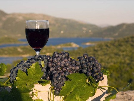 POČITNICE NA PELJEŠCU, KORČULA IN OBIRANJE MANDARIN V DOLINI NERETVE