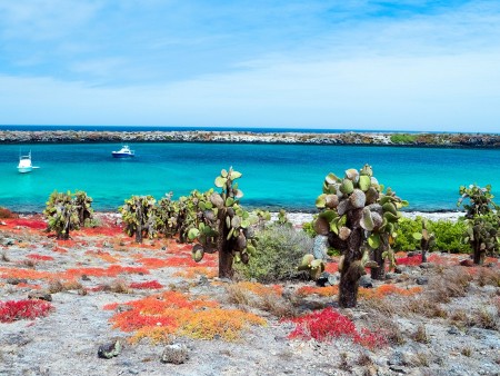 EKVADOR IN GALAPAGOS