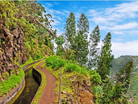 MADEIRA - VRT ATLANTIKA