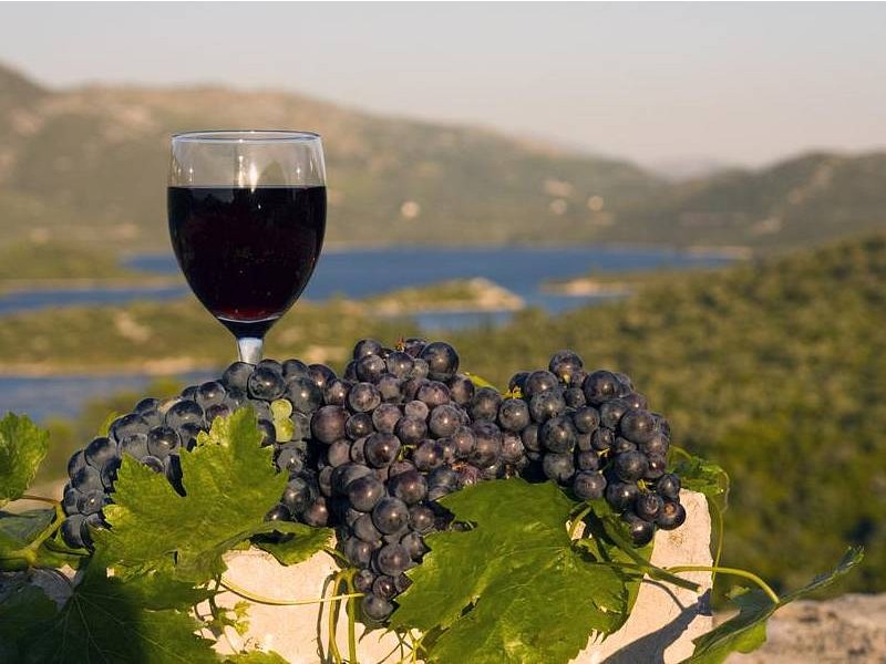 POČITNICE NA PELJEŠCU, KORČULA IN OBIRANJE MANDARIN V DOLINI NERETVE