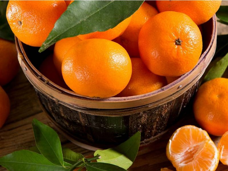 PRAZNIK OLJKE NA HVARU IN MANDARINE
